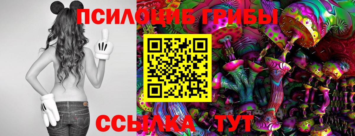 Псилоцибиновые грибы Psilocybe  Псилоцибиновые грибы Psilocybe  Вход с VPN  Видное 